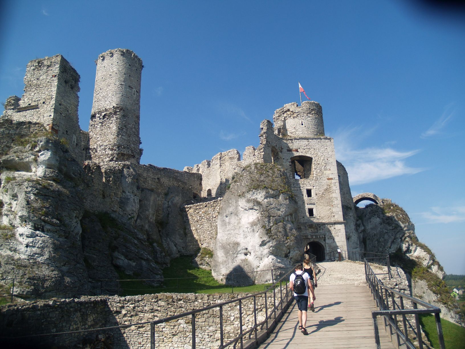 Akademia 2016